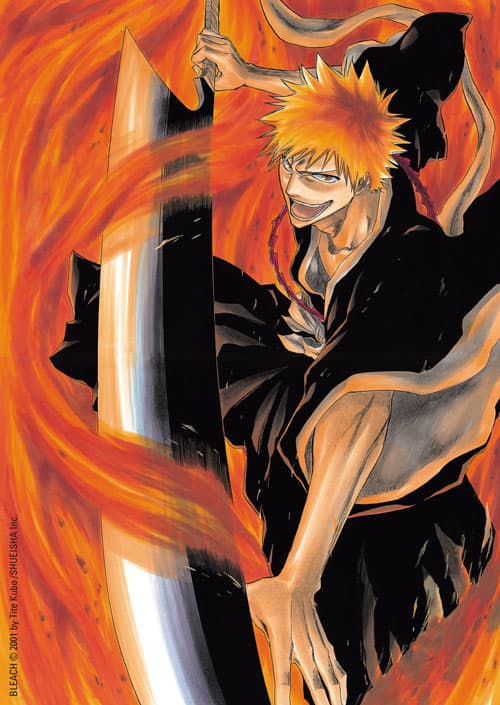 Bleach EXTREME