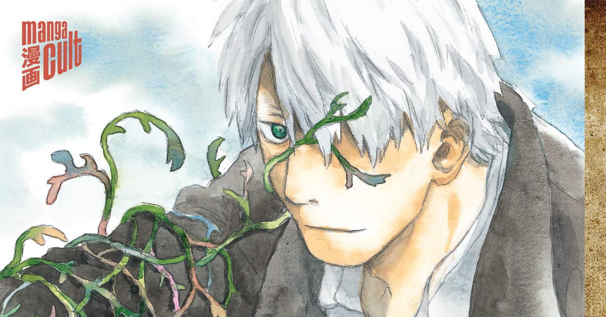 Ersteindruck: Mushishi Band 1 – Perfect Edition