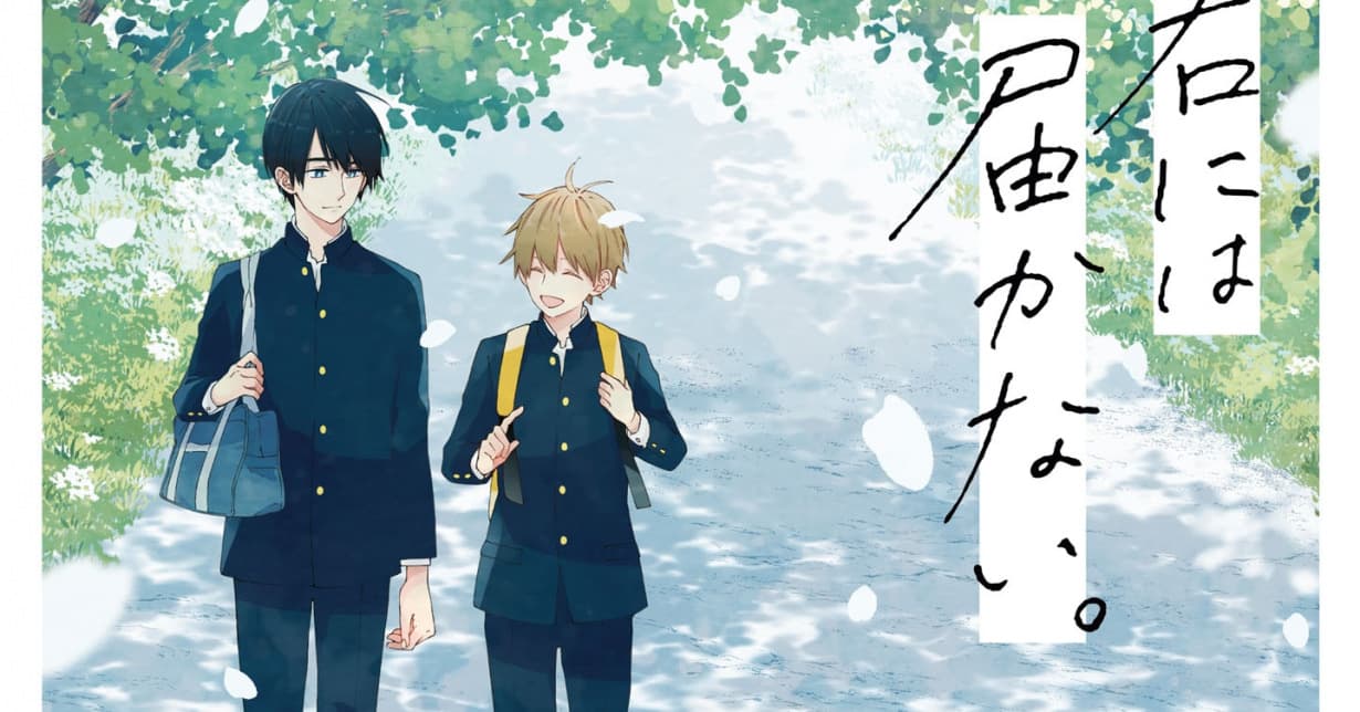 Boys-Love-Manga „Ich kann dich nicht erreichen“ erscheint auf Deutsch