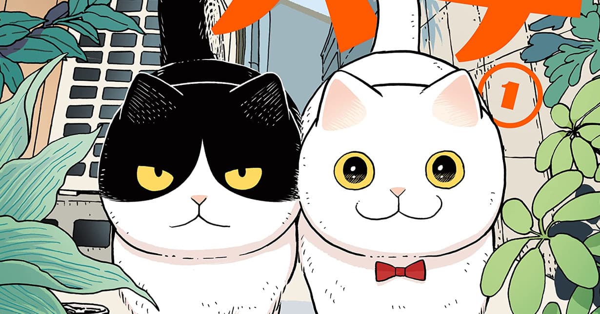 Krankenhausaufenthalt der Mangaka: „Hachi & Maruru – Streuner halten zusammen!“ pausiert für „mehrere Monate“