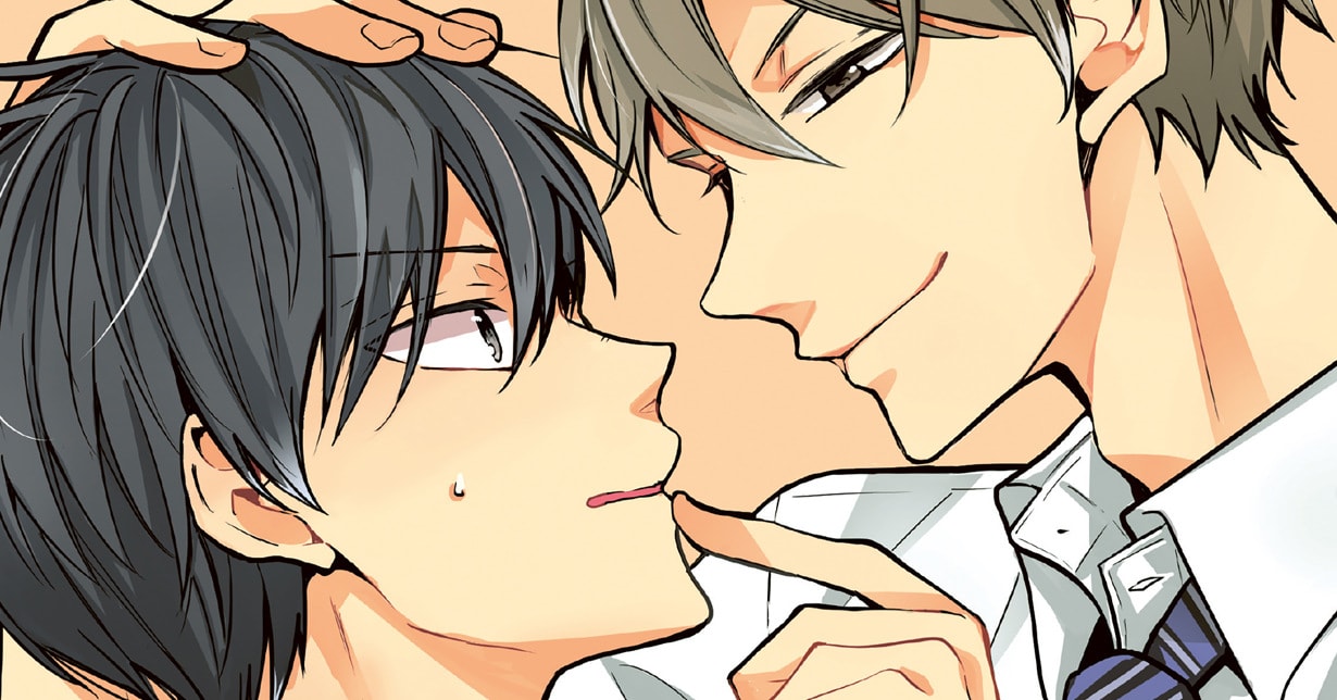 Hayabusa: Welcher Boys-Love-Manga passt zu Dir?