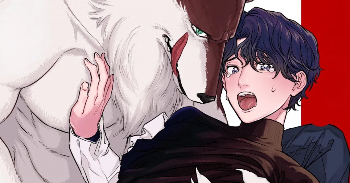 Kemonomimi-BL-Manga „Mr. Wolf Is Violently Smothering Me with Love“ auf „Lezhin“ gestartet