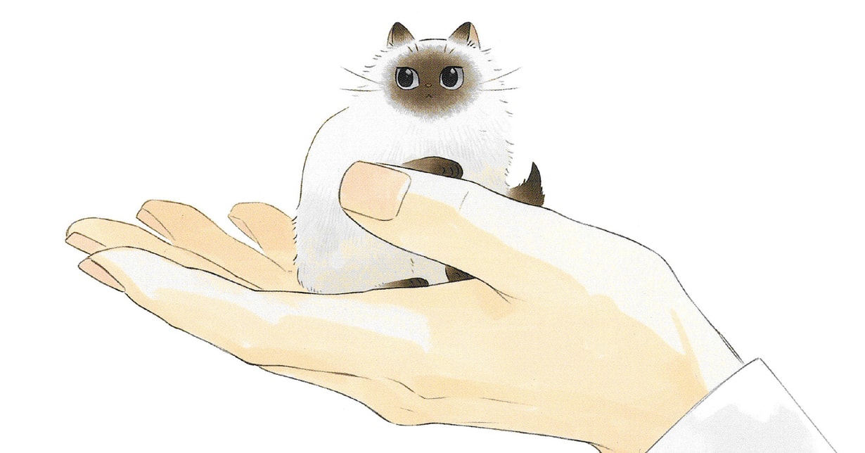 Lizenz: „Fairy Cat“ erscheint bei Carlsen Manga! auf Deutsch