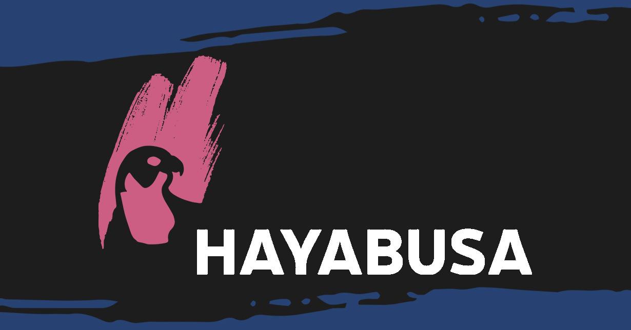 Hayabusa veröffentlicht Landingpage zum Thema „Boys in Bloom“ + Gewinnspiel